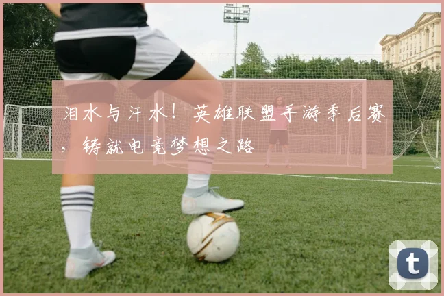 泪水与汗水！英雄联盟手游季后赛，铸就电竞梦想之路